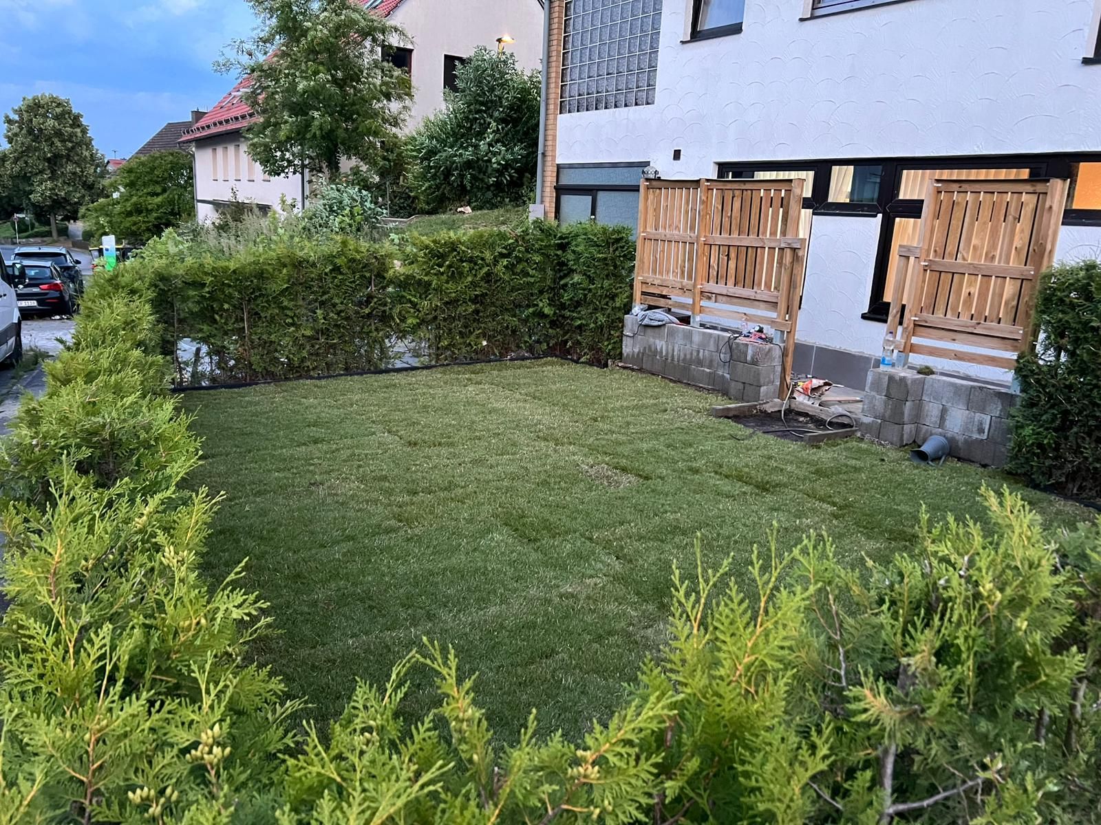 Frisch verlegter Rollrasen vor dem Haus