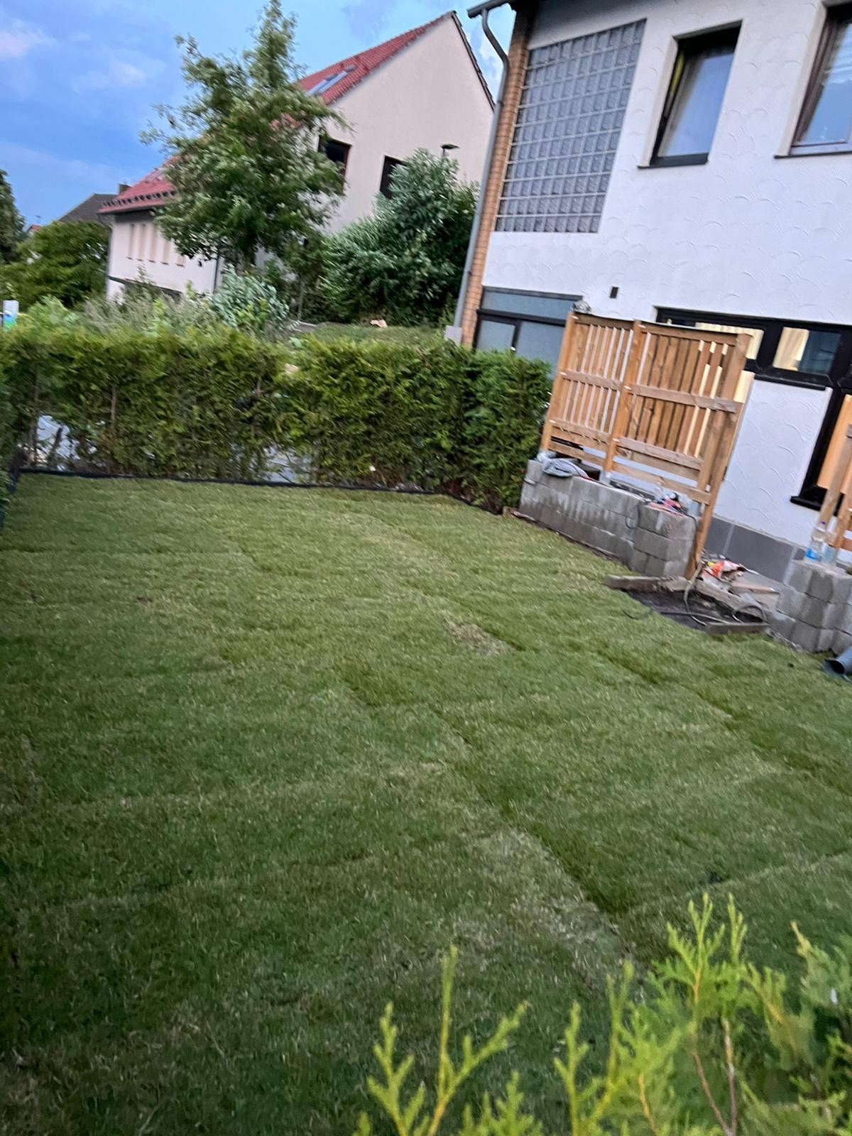 Gepflegter grüner Rasen nach unserer Arbeit